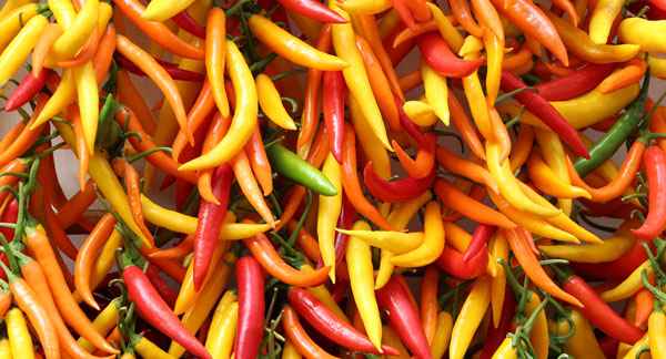 Colorful Peppers