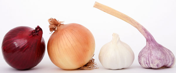 Garlic