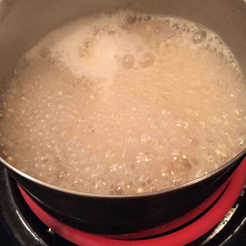 Boiling Quinoa